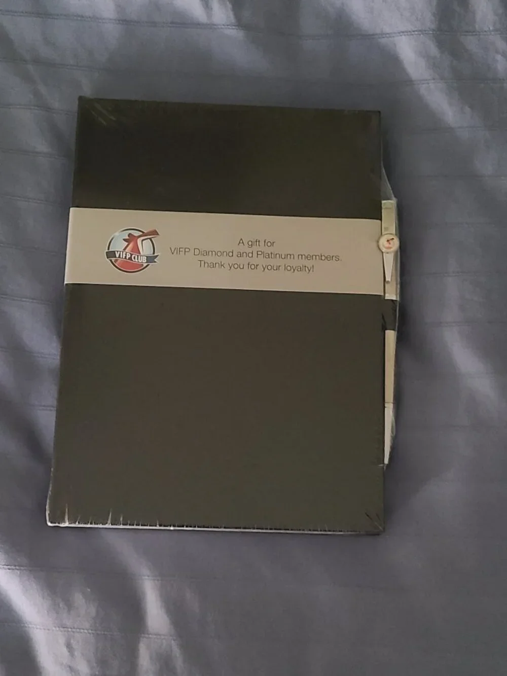 Carnival Blank Journal with Pen